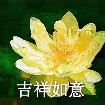 考研阅卷“水旱区”是什么梗？