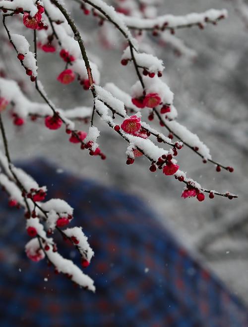 读完三年硕士研究生需要花多少钱？细细算下来，令人吃惊！