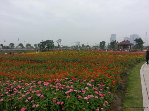 全国硕士研究生招生网上报名今日开始