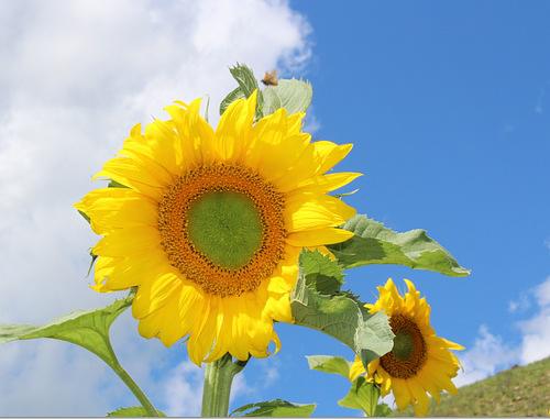 读完研究生需要花多少钱，过来人告诉你：努力之后还能挣钱