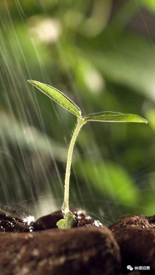 在职考研建议要趁早，越早越好