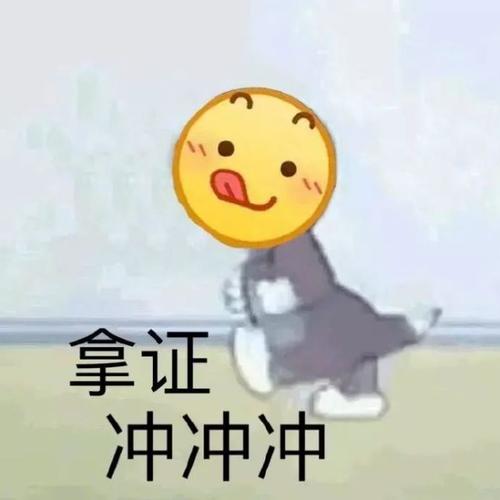 懂